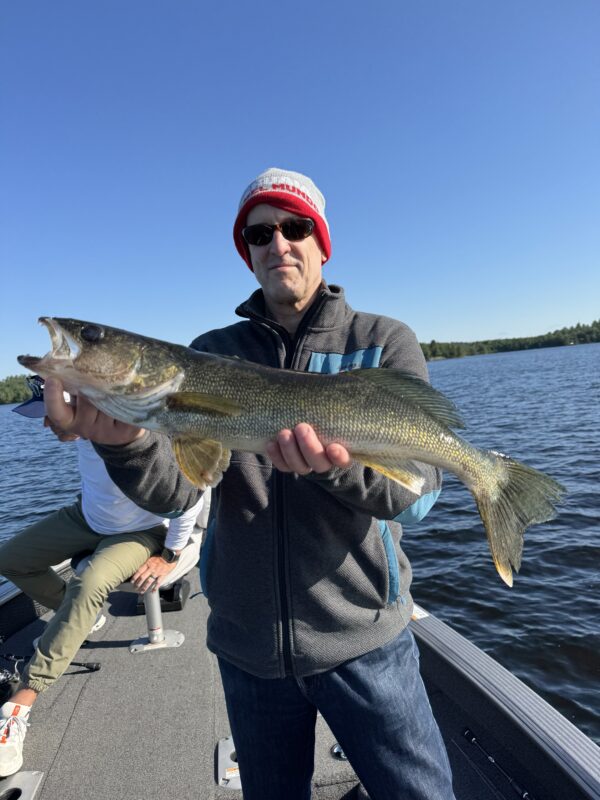 24.5
